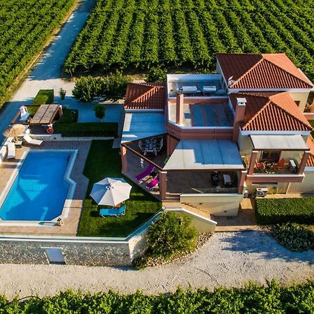 Cretan Vineyard Hill Villa Kato Kalesia Exterior photo