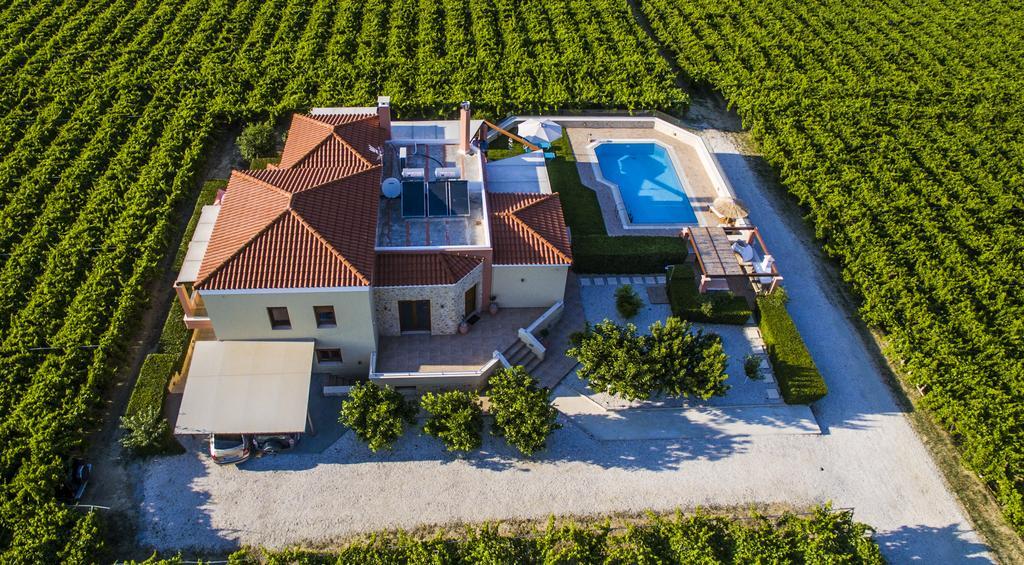 Cretan Vineyard Hill Villa Kato Kalesia Exterior photo