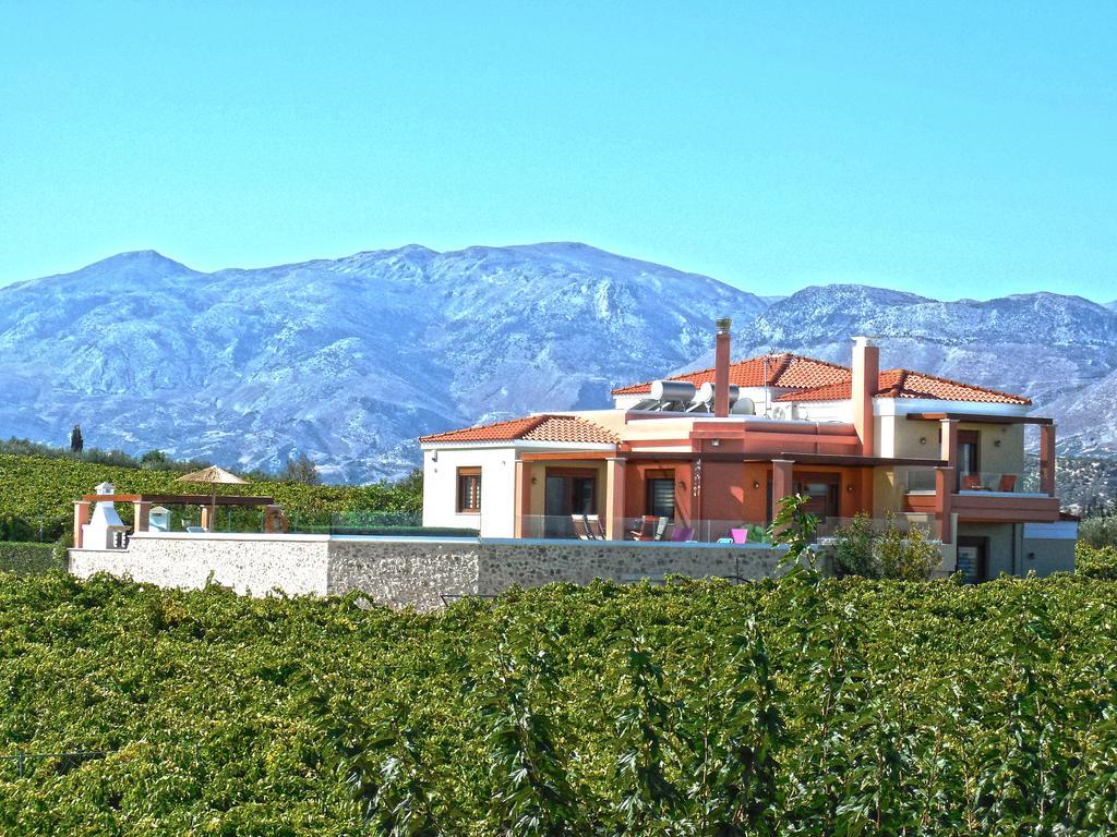 Cretan Vineyard Hill Villa Kato Kalesia Exterior photo