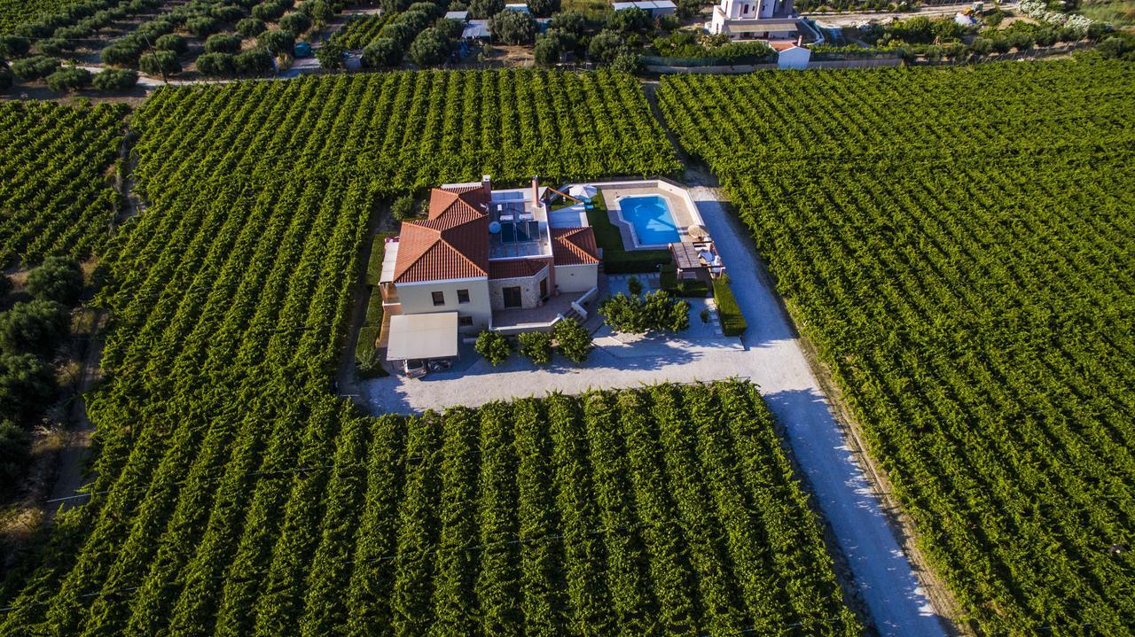 Cretan Vineyard Hill Villa Kato Kalesia Exterior photo