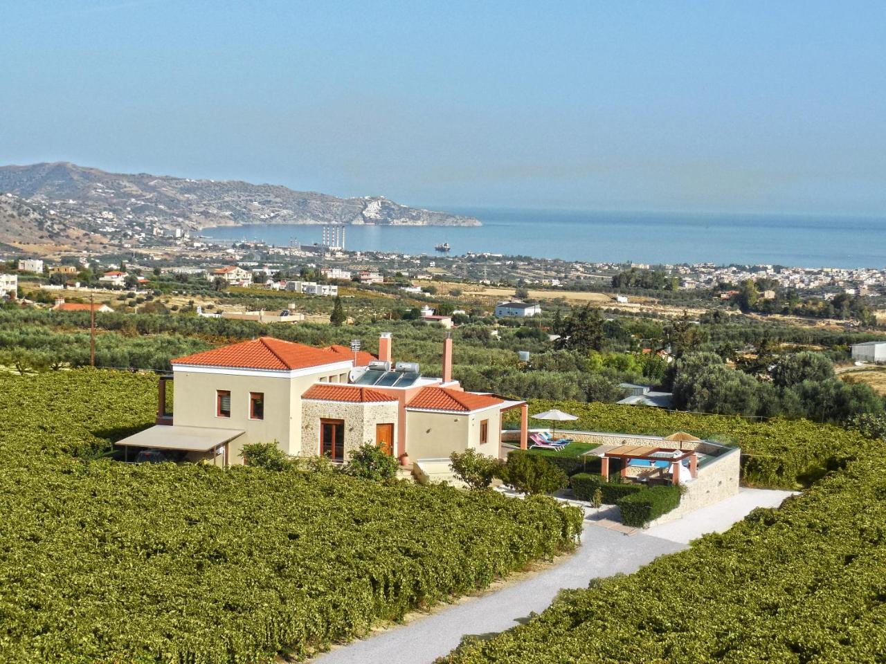 Cretan Vineyard Hill Villa Kato Kalesia Exterior photo