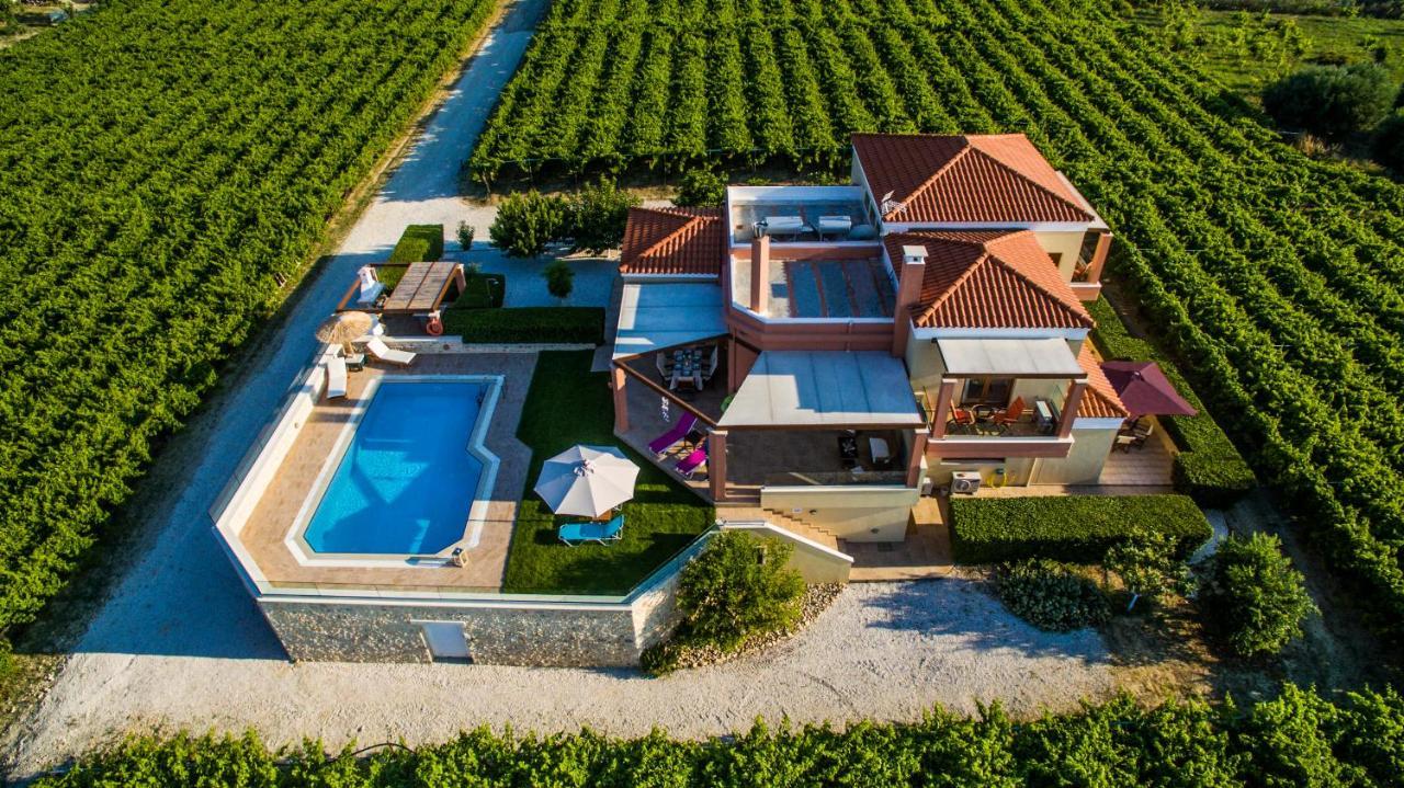 Cretan Vineyard Hill Villa Kato Kalesia Exterior photo